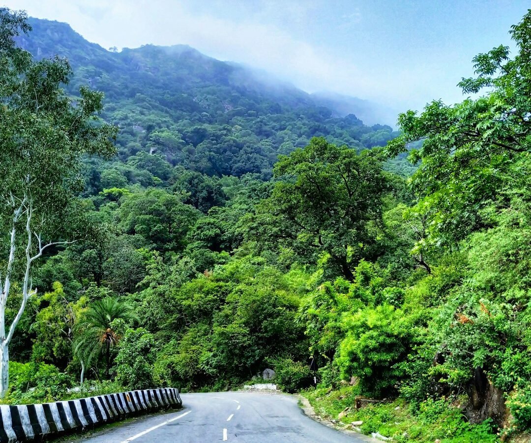 15 Best Weekend Getaways from Delhi in 2026 (Under 300 km)