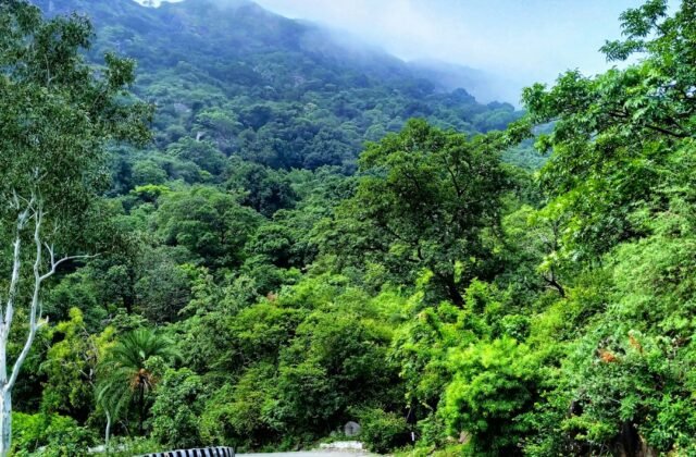 15 Best Weekend Getaways from Delhi in 2026 (Under 300 km)